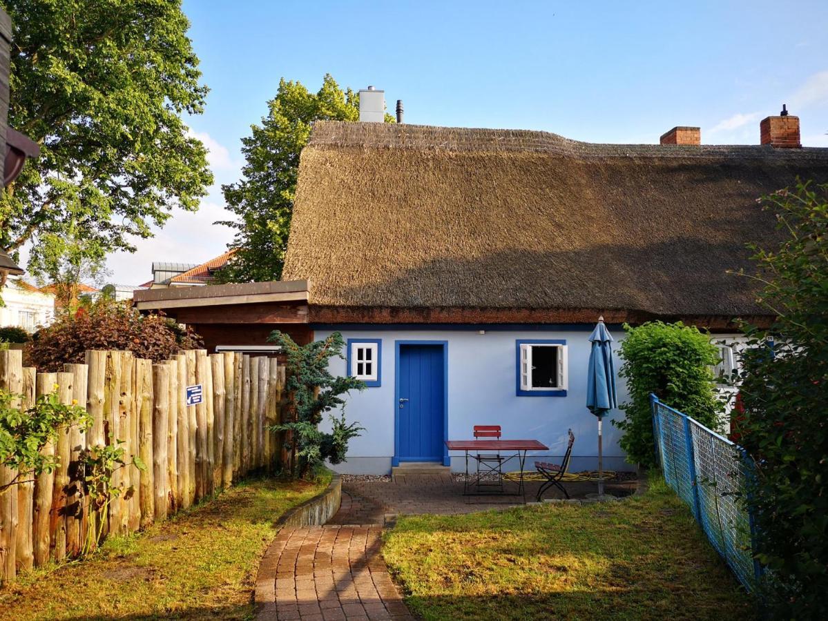 Villa Hafenstr. 41 A Haus Marienlinde Ostseeheilbad Ostseeheilbad Zingst Exterior foto